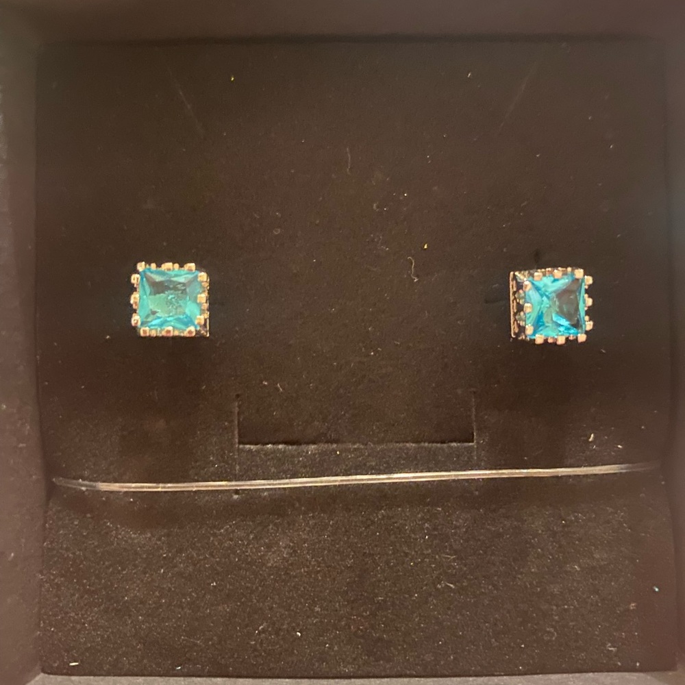 Simulated Aquamarine Earrings